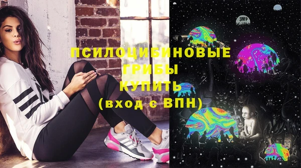 ГАЛЛЮЦИНОГЕННЫЕ ГРИБЫ Аркадак