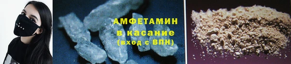 ГАЛЛЮЦИНОГЕННЫЕ ГРИБЫ Аркадак