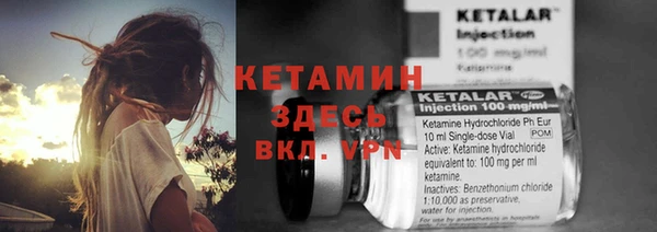 гидра Арсеньев