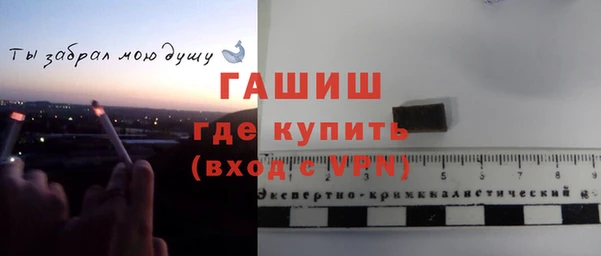 гидра Арсеньев