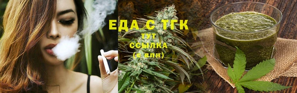 ГАЛЛЮЦИНОГЕННЫЕ ГРИБЫ Аркадак