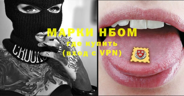 ГАЛЛЮЦИНОГЕННЫЕ ГРИБЫ Аркадак