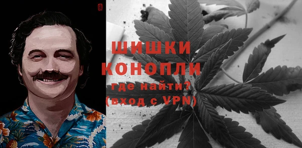 гидра Арсеньев